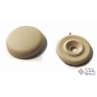 Rozeta 24mm maskująca wkręt (100szt) MAT